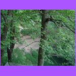 I Can Hear Falls.jpg